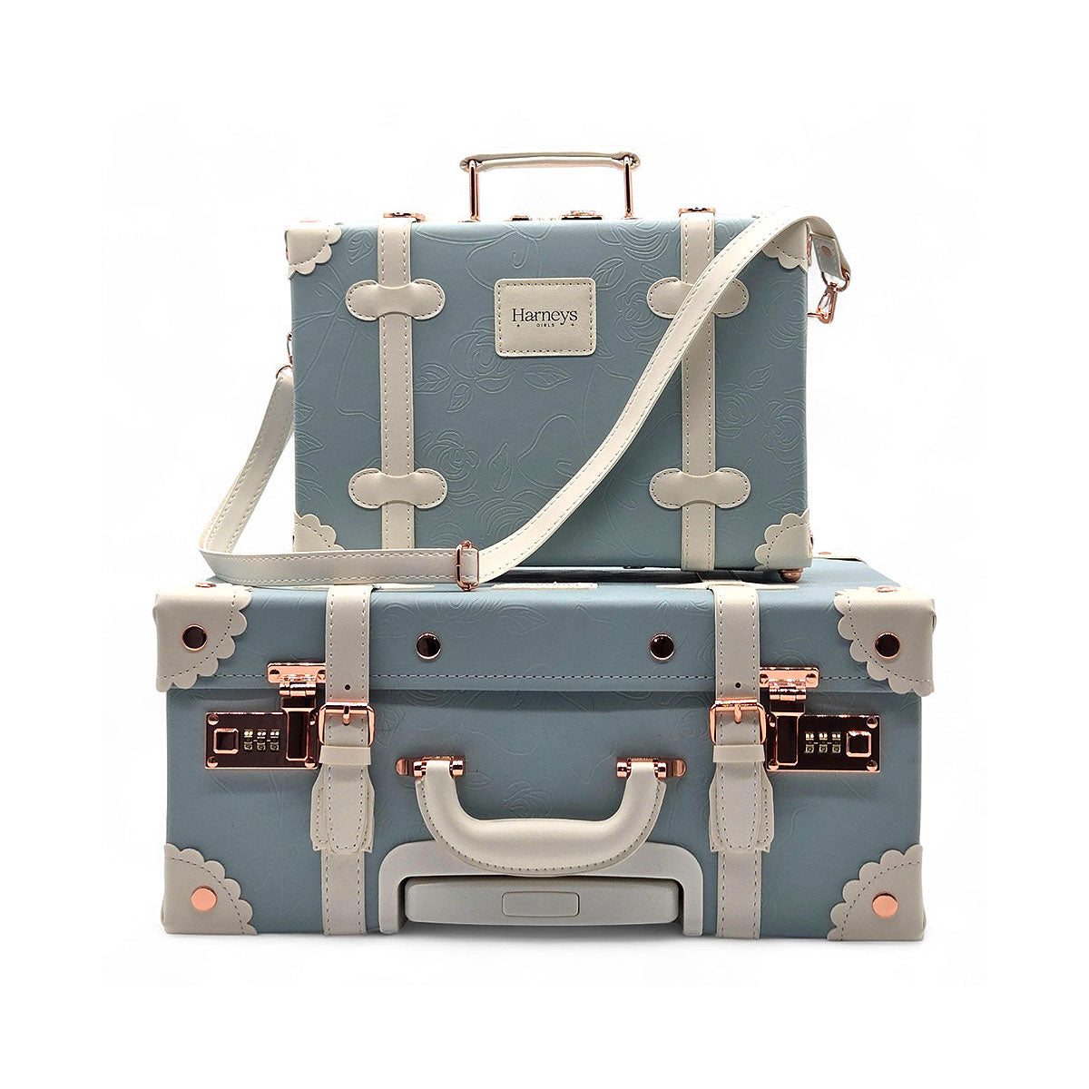 Vintage Rose Traveler Luggage Set - Sky Blue (2-Piece)