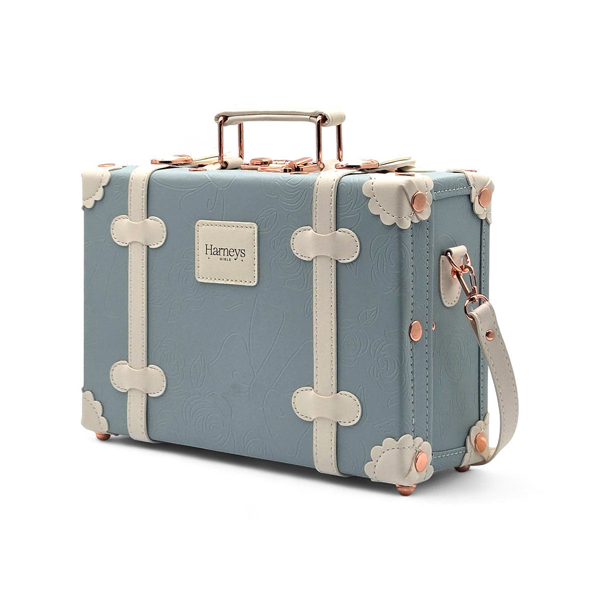 Vintage Rose Traveler Luggage Set - Sky Blue (2-Piece)